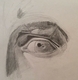 Eye study, graphite